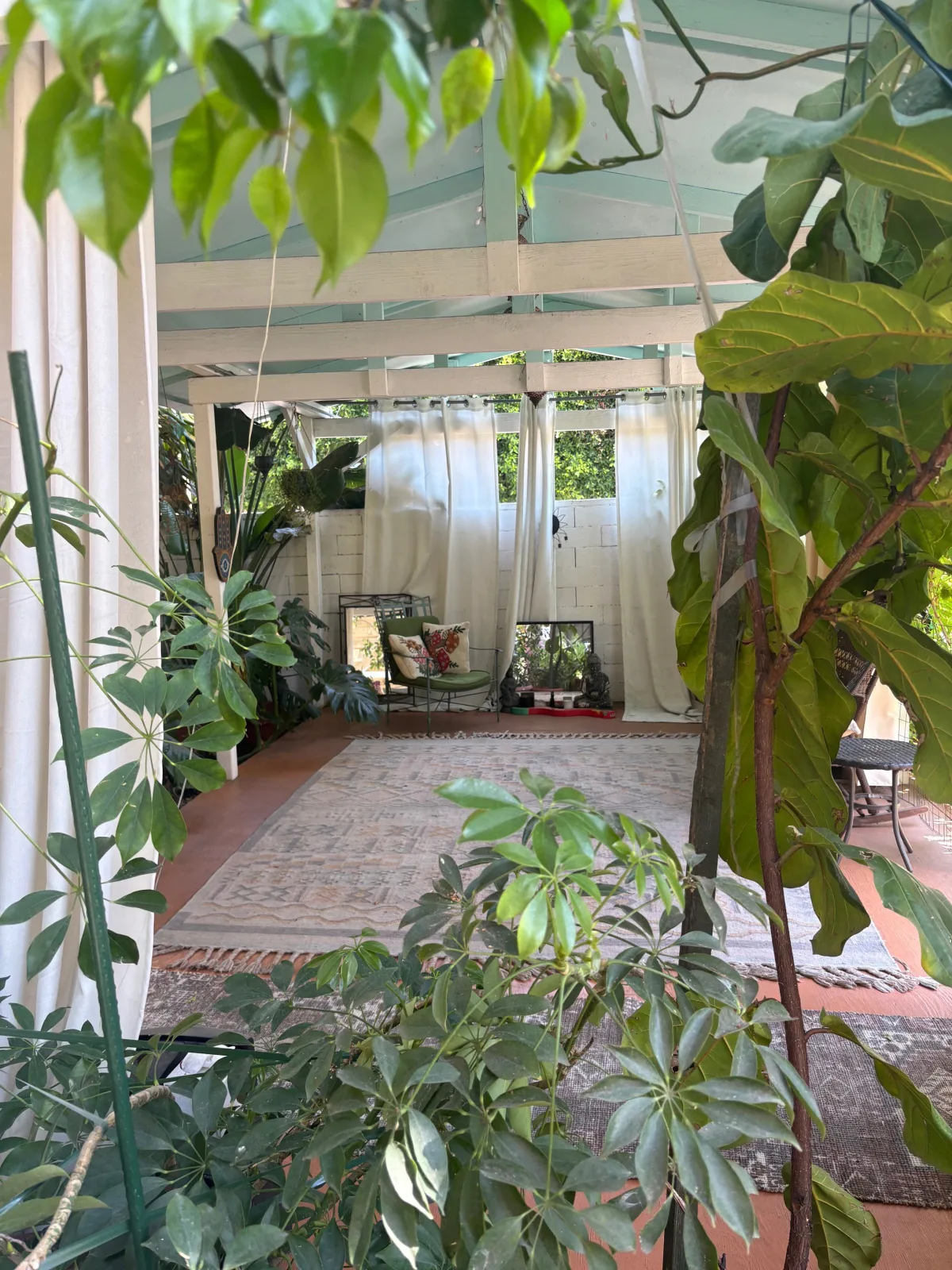 A detail of the practice — plants, natural light, and warm textures